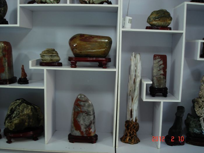 DSC00667.jpg