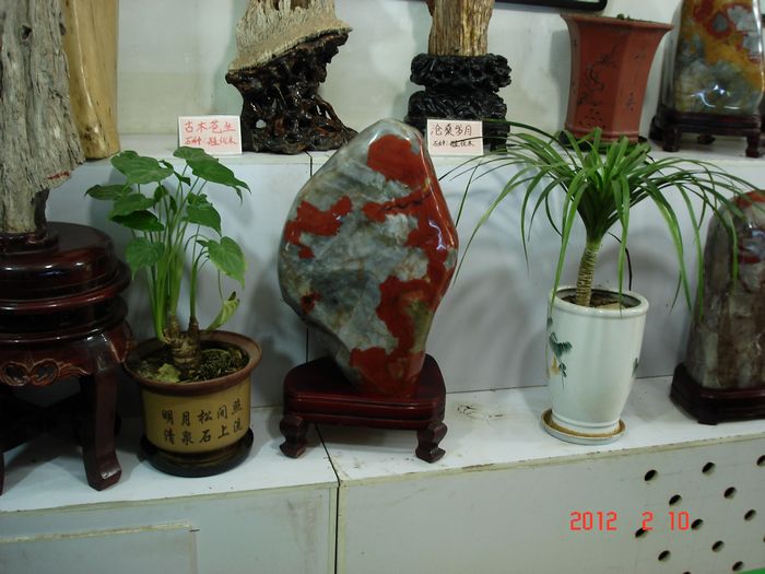 DSC00662.jpg