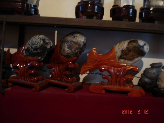 DSC00745.jpg