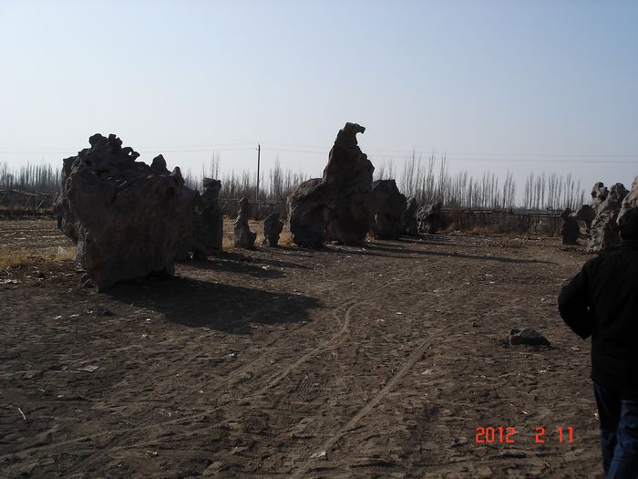 DSC00726.jpg