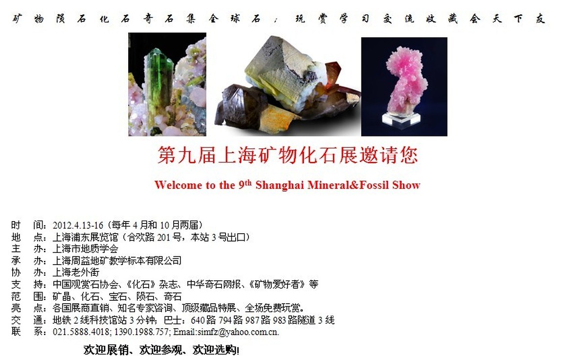 第九届上海矿物化石展.jpg