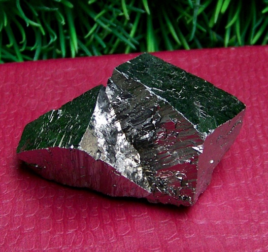12-02标本G 052.jpg