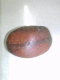 IMG0301193901.jpg