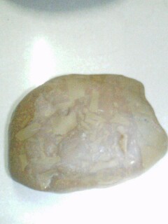 IMG0301194001.jpg