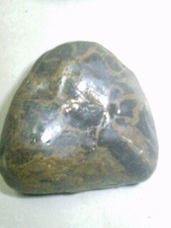 IMG0301194101.jpg