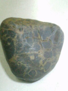IMG0301194103.jpg