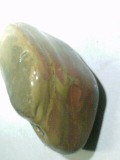 IMG0301194300.jpg
