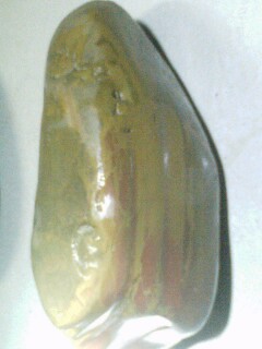IMG0301194301.jpg