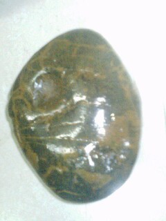 IMG0301194302.jpg