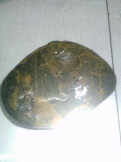 IMG0301194400.jpg