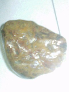 IMG0301194401.jpg