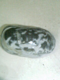 IMG0301194500.jpg