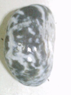 IMG0301194501.jpg