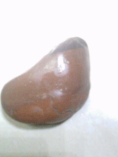 IMG0301194601.jpg