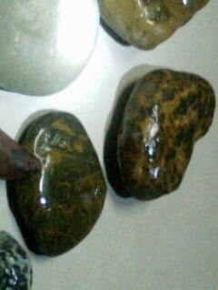 IMG0301195100.jpg