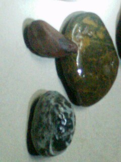 IMG0301195002.jpg