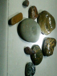 IMG0301195102.jpg