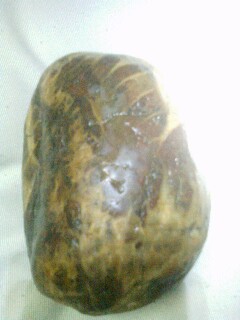 IMG0301200200.jpg