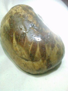 IMG0301200201.jpg