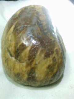 IMG0301200202.jpg