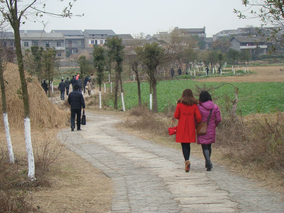 DSC05646.JPG