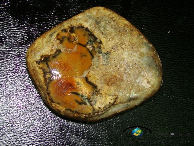 171528pw6zck6w66yjcjhy.jpg