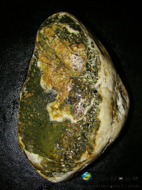 171531alvbvsvus04sgbas.jpg