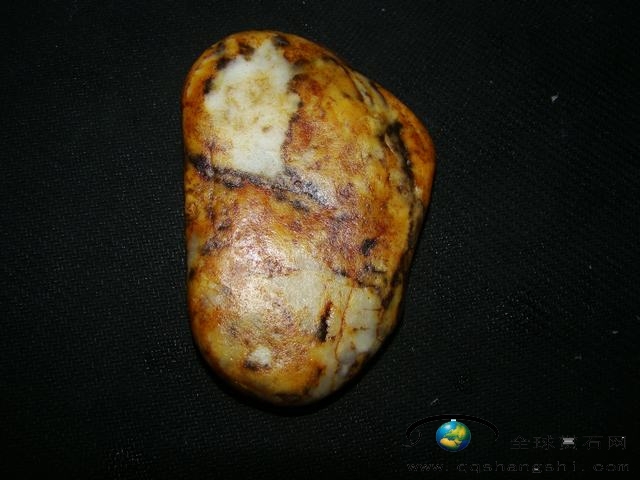 171838gj5k9jjbkbqm94hj.jpg