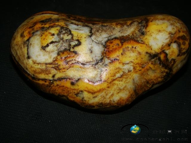 1718134dx8zw4waxtuz358.jpg