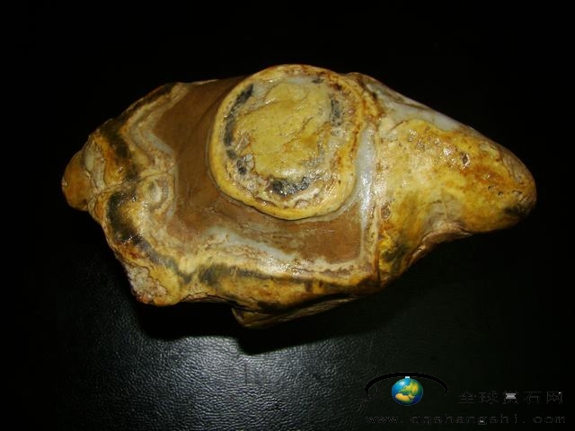 165646lugyxl33b1c3ztut.jpg