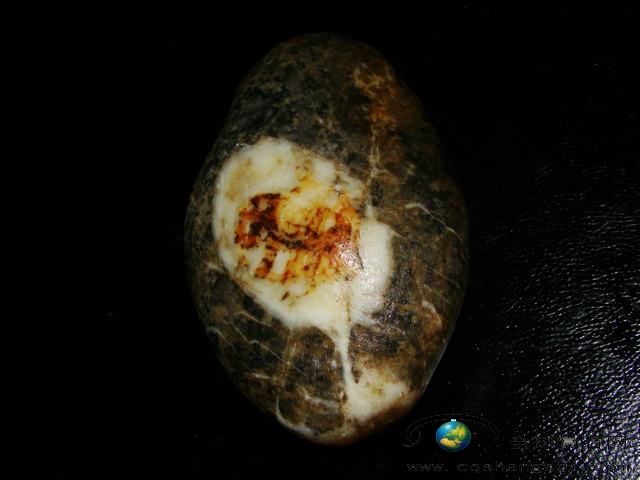 165753s2pi7lj7qasjpv4p.jpg