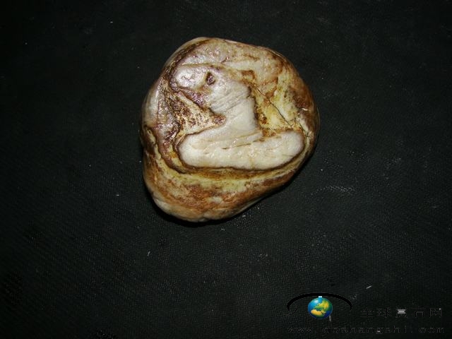 1656392d8hmgmacyammacy.jpg