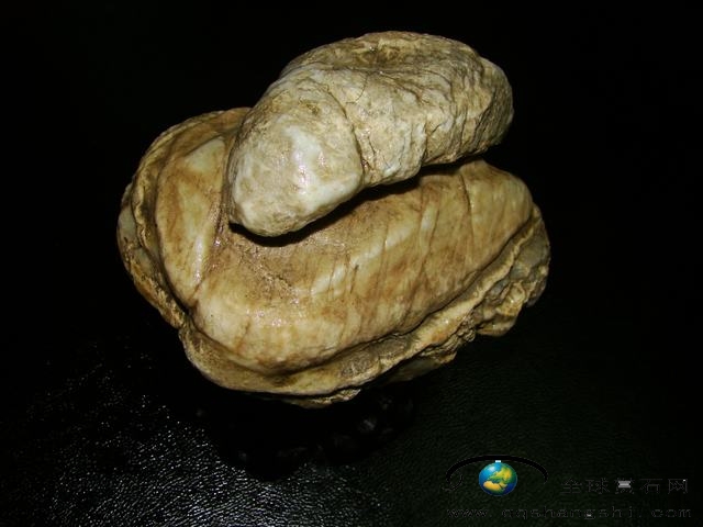 173937py50g5q00gb0ejg0.jpg