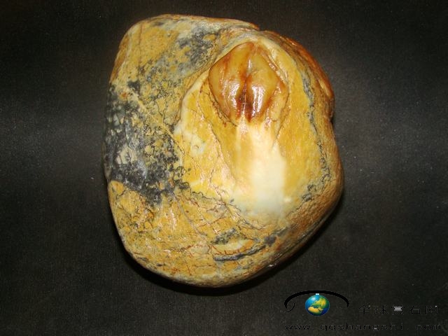 174127t39ryewyyqz2frto.jpg