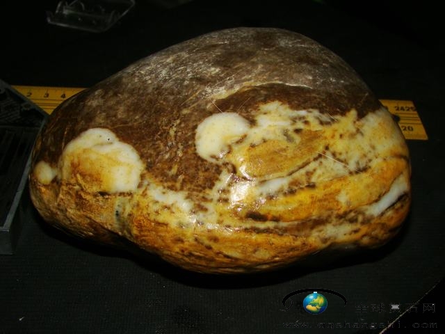 174253fbxfxxlmdqcopxet.jpg