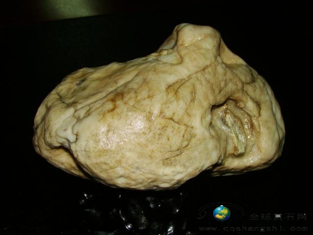 1739409arl0g7l8rm8zlvk.jpg