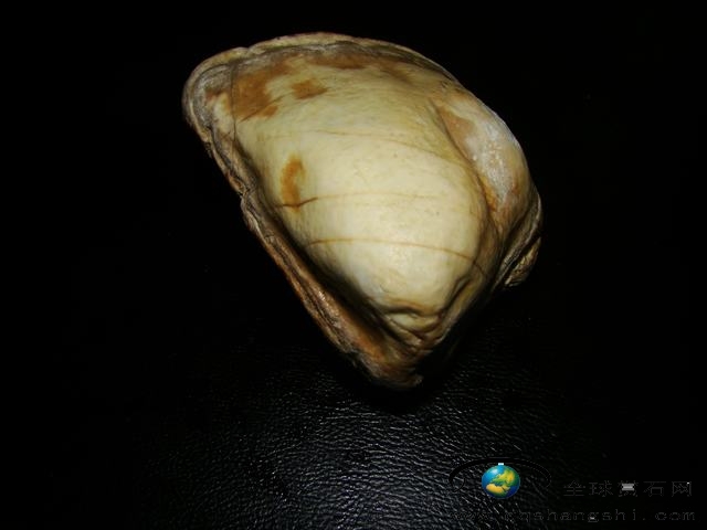 1742123lj2p33eju3j3l8q.jpg