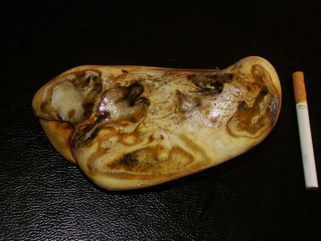 DSC06218.JPG