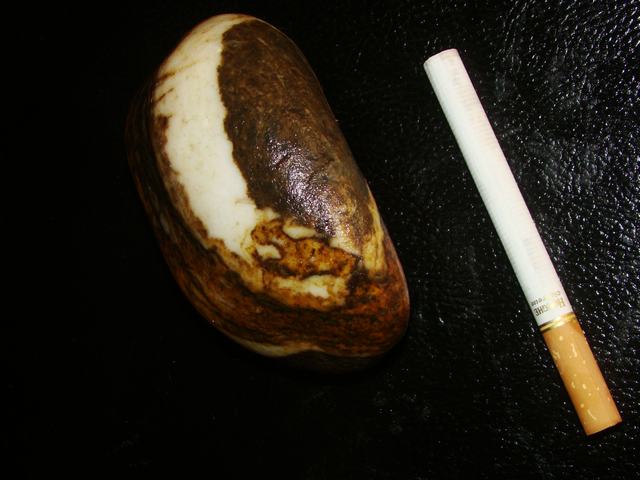 DSC06284.JPG