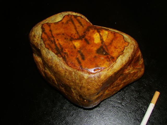 DSC06313.JPG