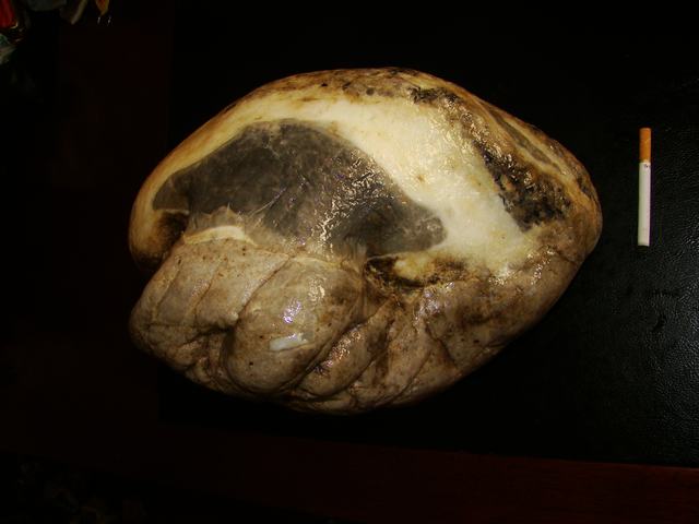 DSC06351.JPG