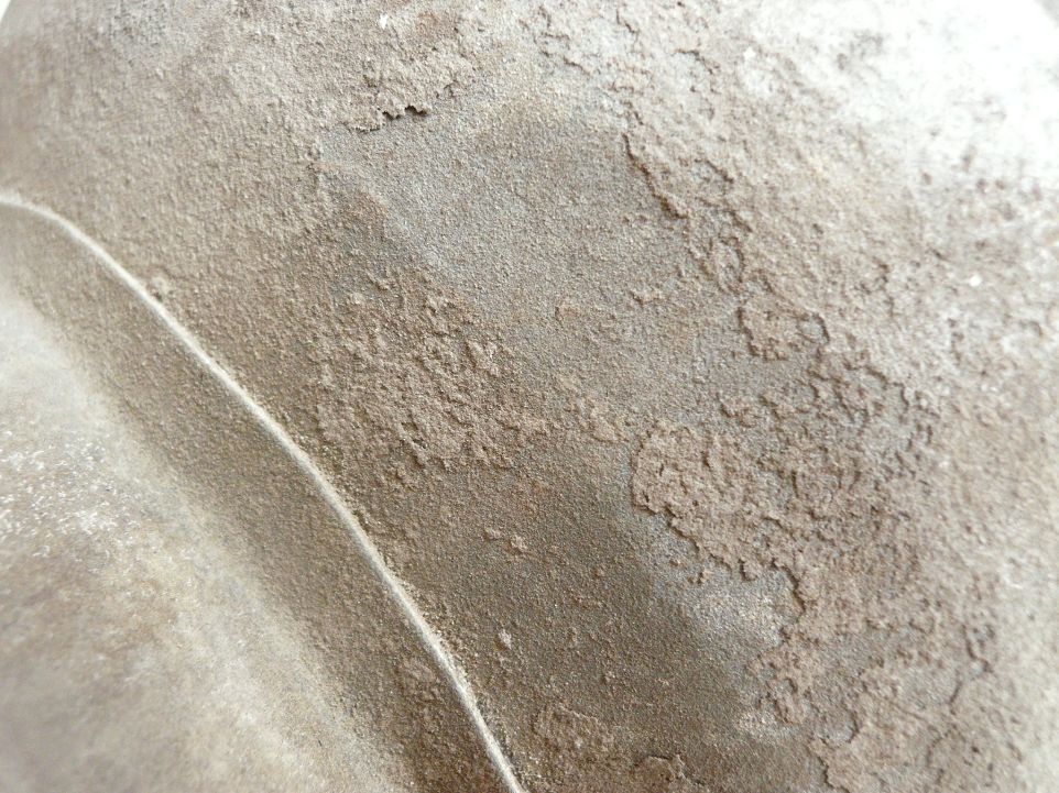 P1290737.JPG