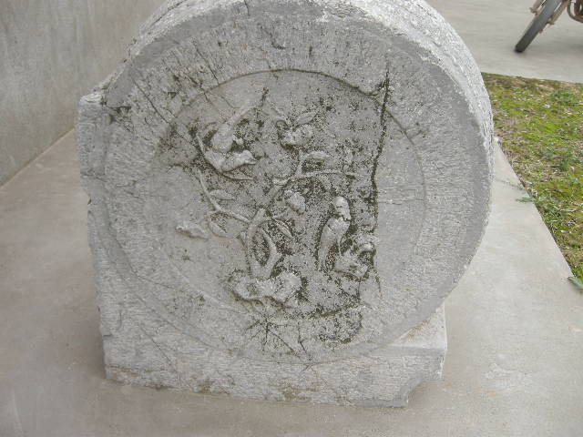 DSCN5466.JPG