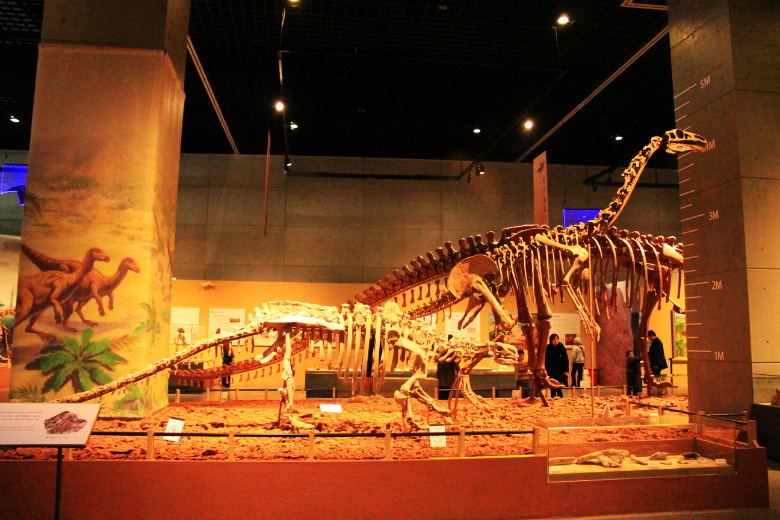 52920201_813042447_rotate.jpg