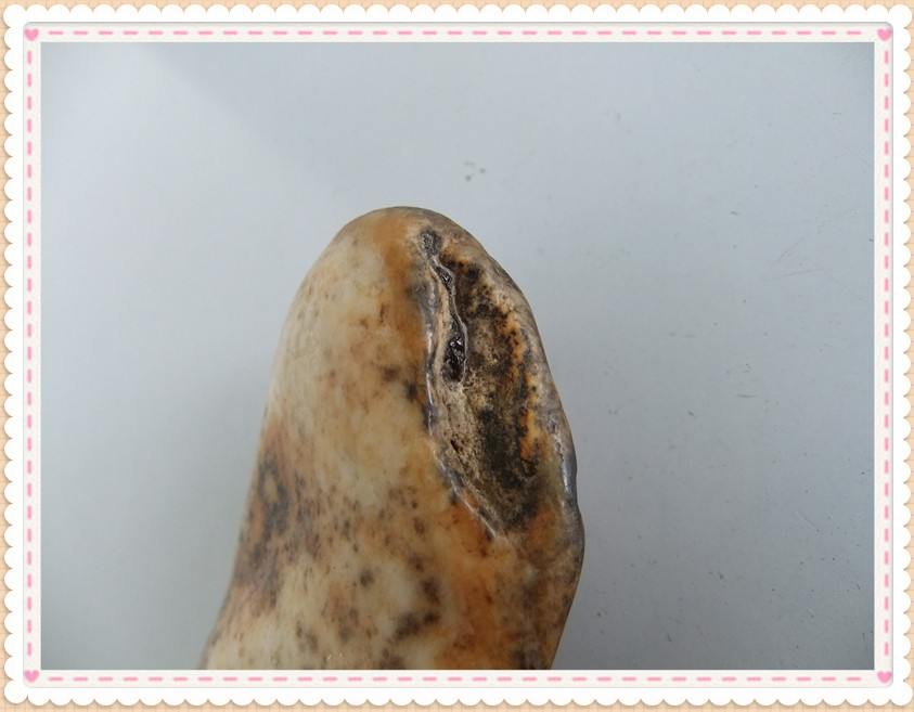 DSCF0712_副本.jpg