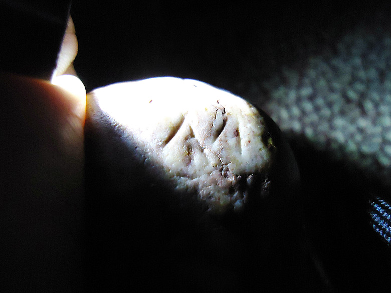 dsc03045_副本.jpg