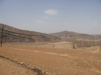 DSC03285_调整大小_调整大小.JPG