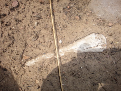 DSC03271_调整大小_调整大小.JPG