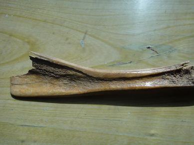 DSC03289_调整大小_调整大小.JPG