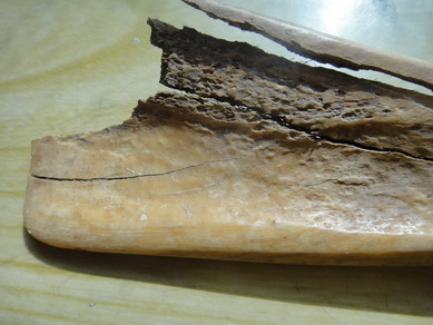 DSC03290_调整大小_调整大小.JPG